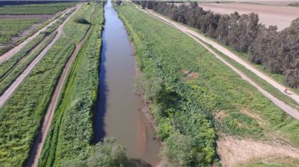 הסדרה בתעלה המערבית בעמק החולה