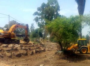 פלג הדן דפנה