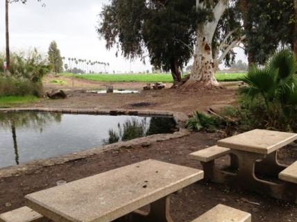 שיקום עין נון