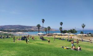 נופשים בחוף צמח - צילום נועה אלפנדרי, איגוד ערים כינרת