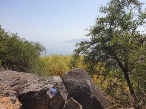 הקפת האגם הלאומי ב"שביל סובב כינרת"