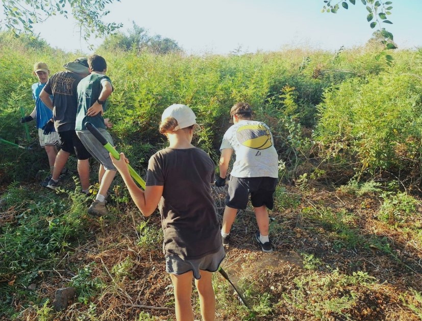 צילום: אושרי בן דור, איגוד ערים כינרת